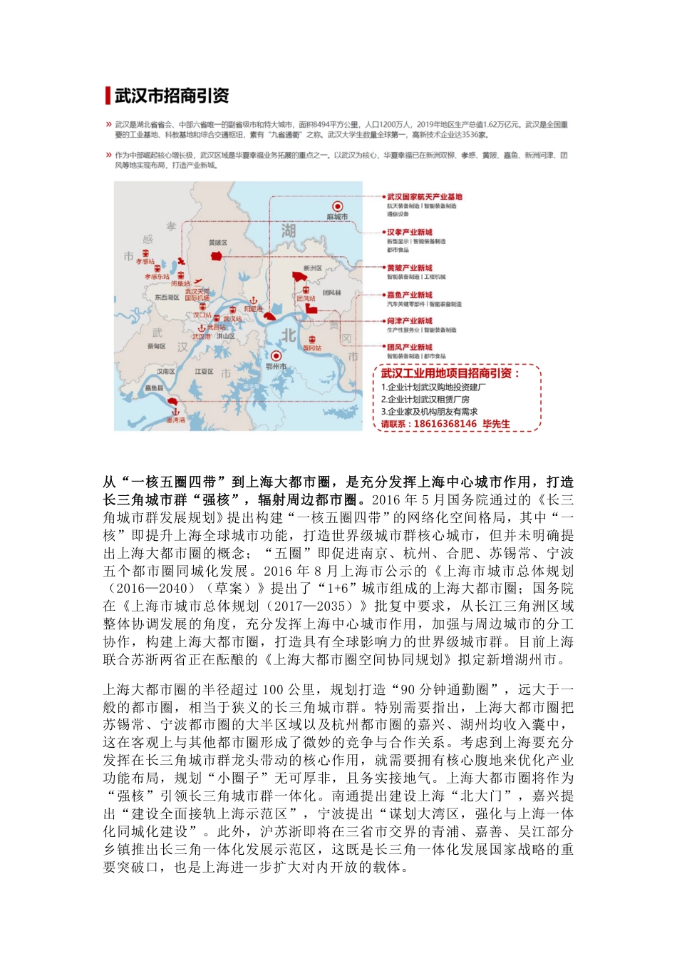 中国十大都市圈发展潜力pdf.pdf_第2页