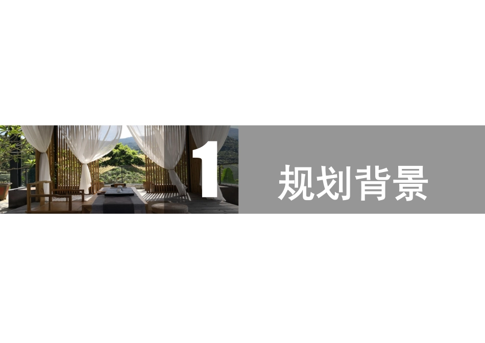 2019海南省乡村民宿发展规划(2018一2030)简本（....pdf_第3页