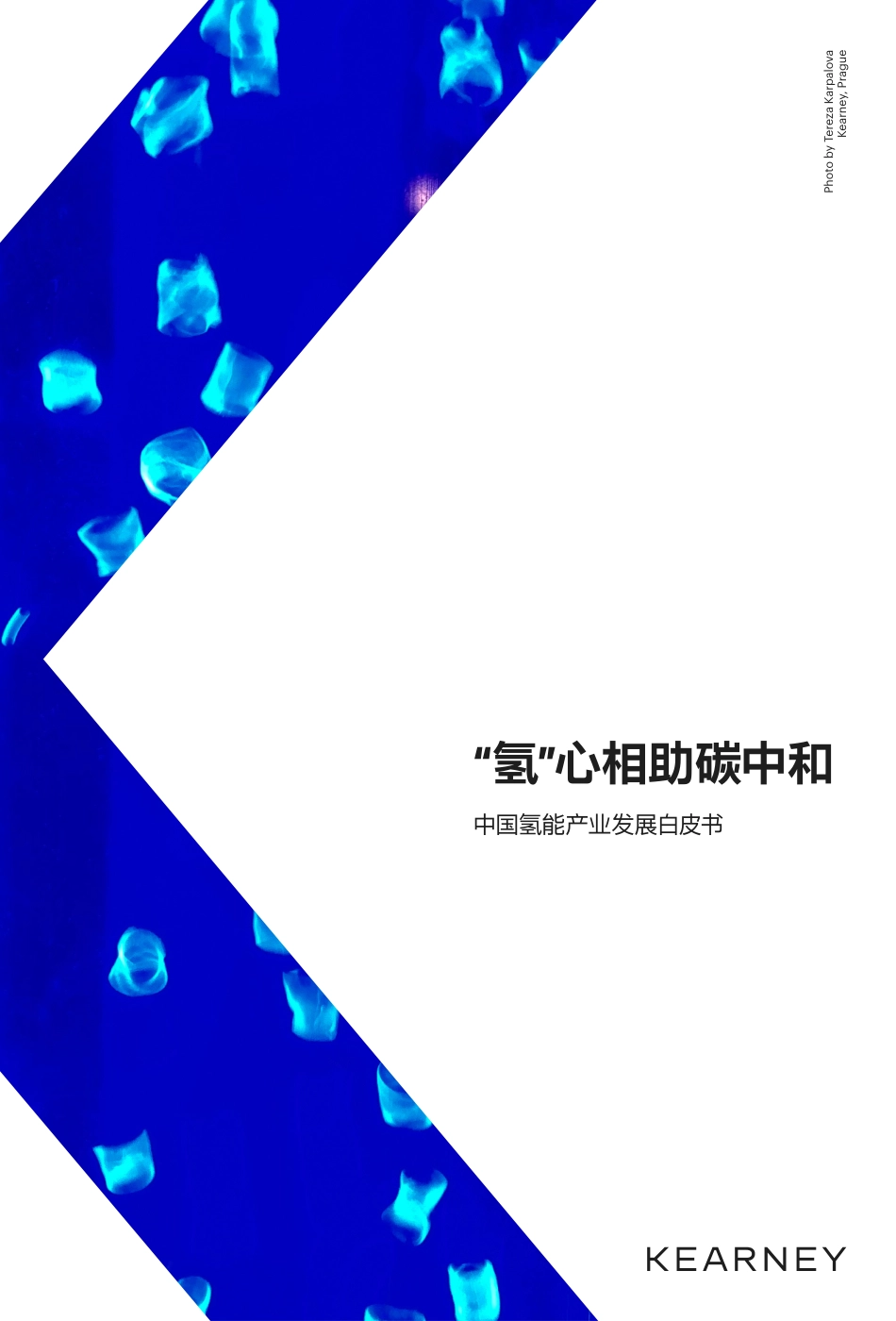 “氢”心相助碳中和-中国氢能产业发展白皮书.pdf_第1页