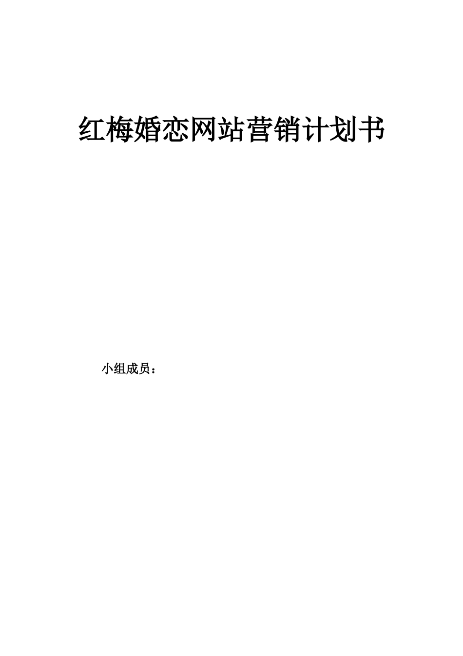 婚恋网站营销计划书.doc_第1页