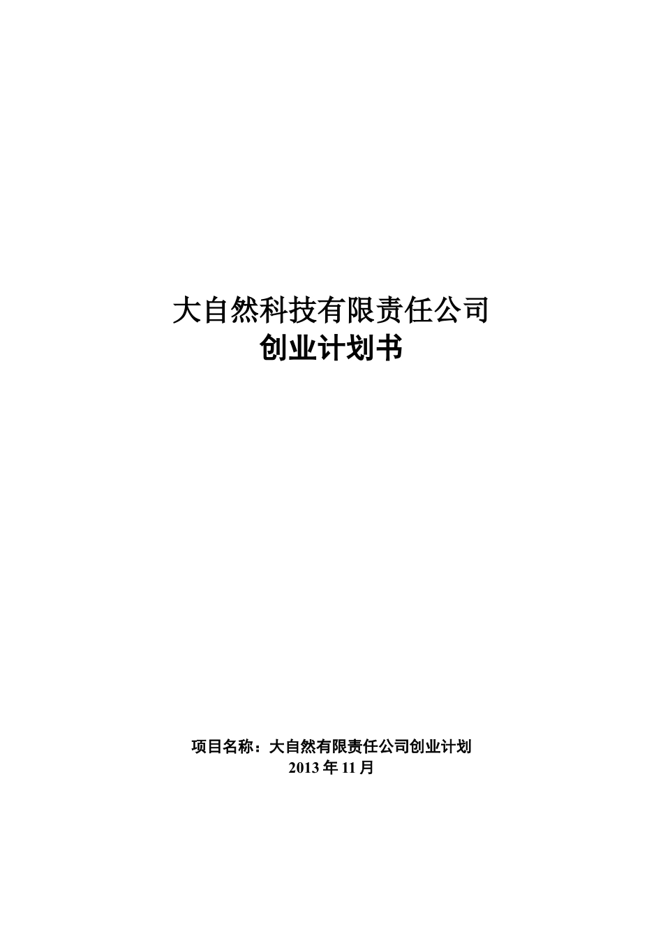 风云炫彩系列便携式空气净化器创业计划书.doc_第1页