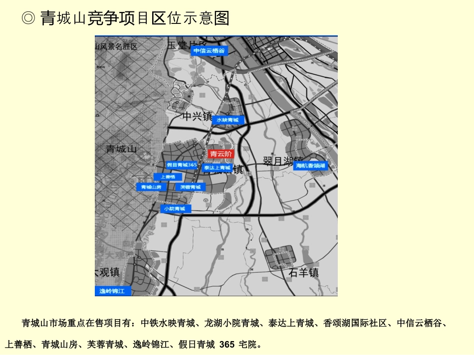 都江堰青城山项目市场分析及建议(含竞品项目分析).pptx_第2页