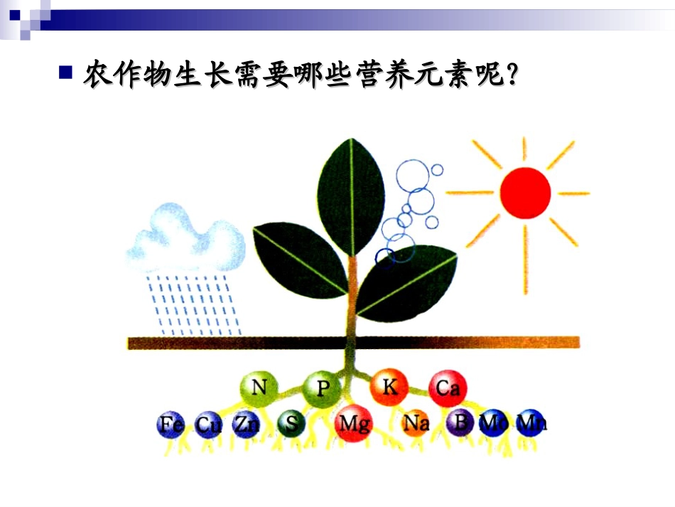 《化学肥料》盐化肥PPT课件4_第2页