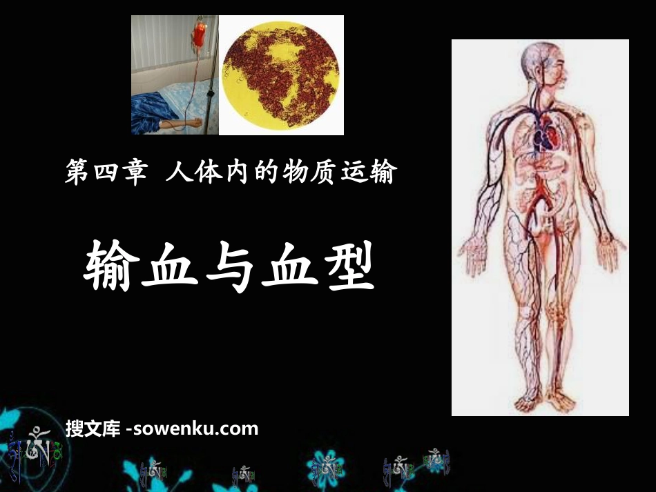 《输血与血型》人体内物质的运输PPT课件5_第1页