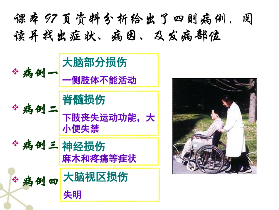 《神经系统的组成》人体生命活动的调节PPT课件_第2页