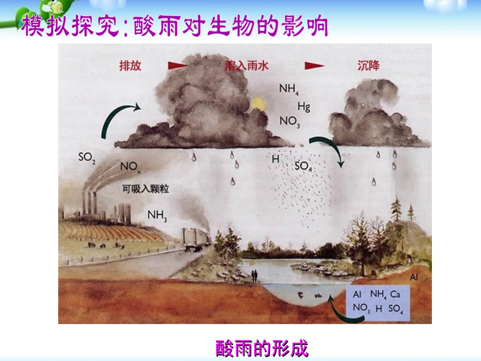 《探究环境污染对生物的影响》人类活动对生物圈的影响PPT课件3_第3页