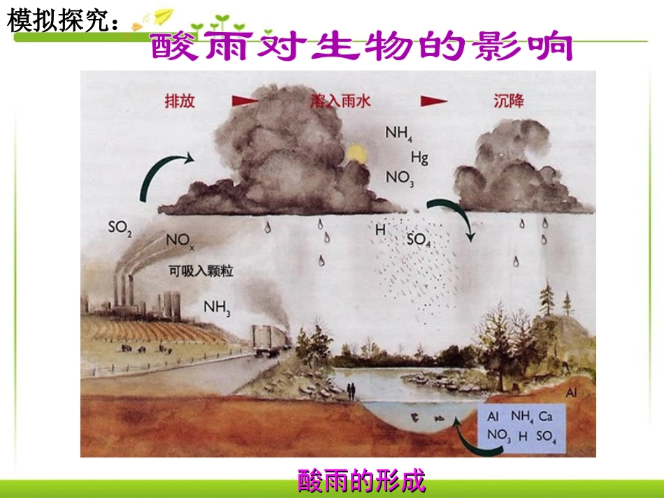 《探究环境污染对生物的影响》人类活动对生物圈的影响PPT课件4_第3页