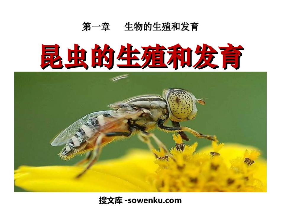 《昆虫的生殖和发育》生物的生殖和发育PPT课件2_第1页