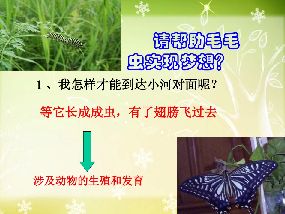 《昆虫的生殖和发育》生物的生殖和发育PPT课件5_第3页