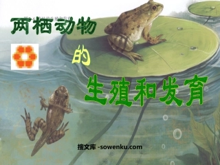 《两栖动物的生殖和发育》生物的生殖和发育PPT课件4