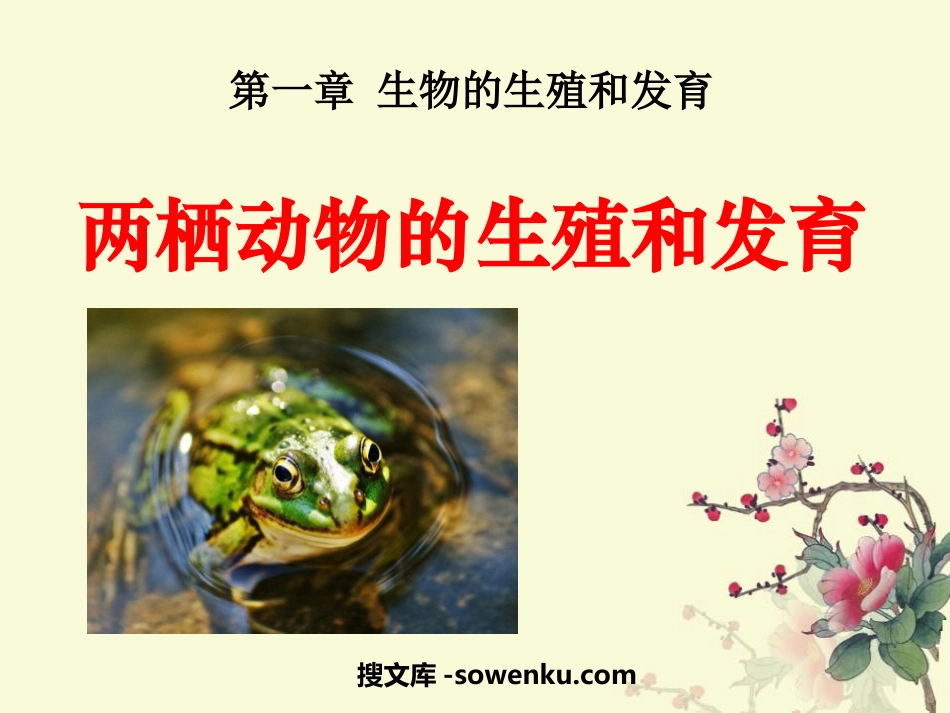 《两栖动物的生殖和发育》生物的生殖和发育PPT课件6_第1页