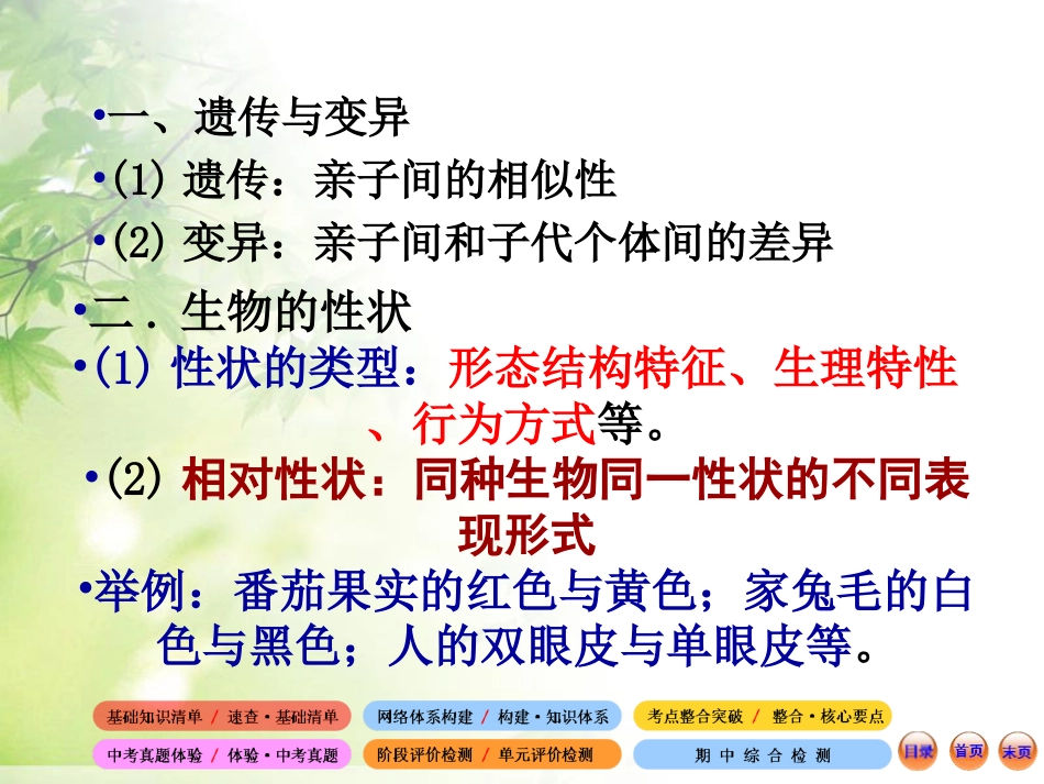 《基因在亲子代间的传递》生物的遗传和变异PPT课件3_第2页