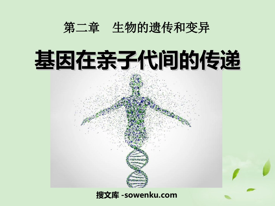 《基因在亲子代间的传递》生物的遗传和变异PPT课件4_第1页