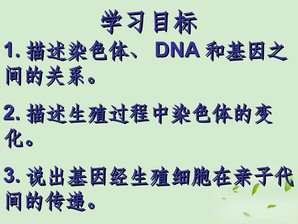 《基因在亲子代间的传递》生物的遗传和变异PPT课件4_第2页