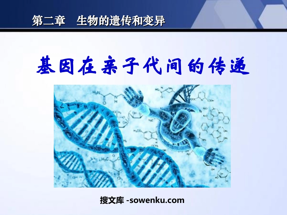 《基因在亲子代间的传递》生物的遗传和变异PPT课件5_第1页