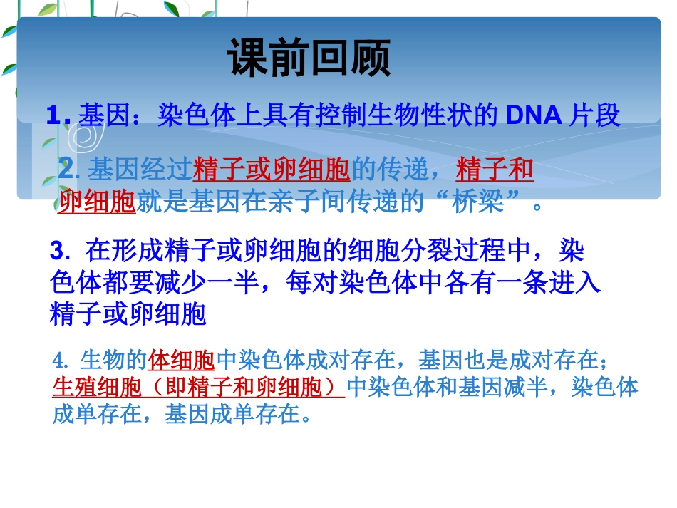 《基因的显性和隐性》生物的遗传和变异PPT课件3_第2页