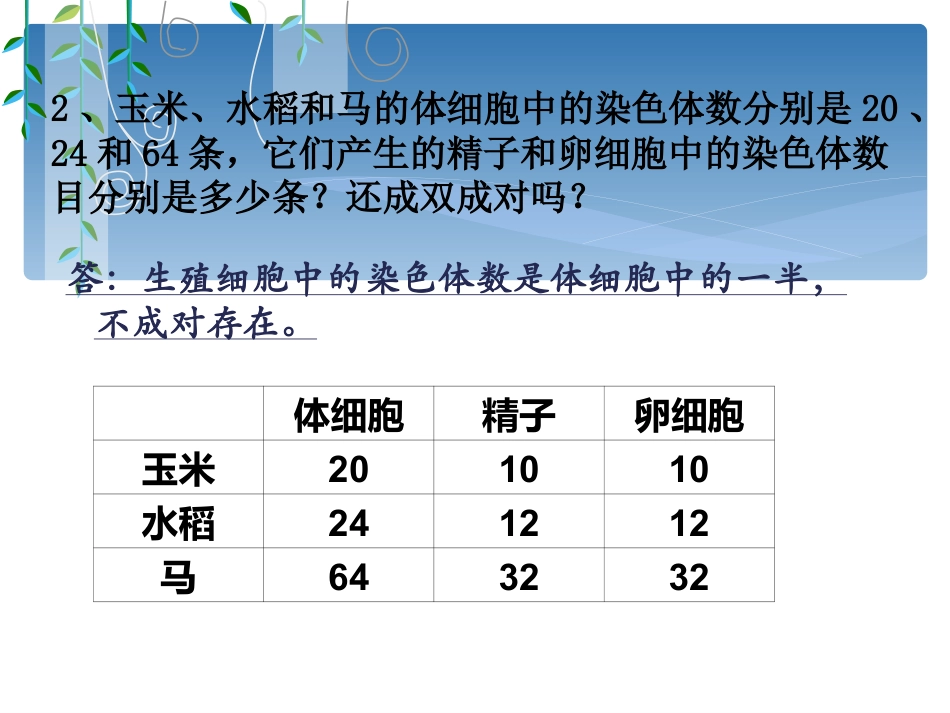 《基因的显性和隐性》生物的遗传和变异PPT课件3_第3页