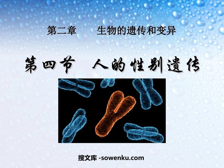 《人的性别遗传》生物的遗传和变异PPT课件_第1页