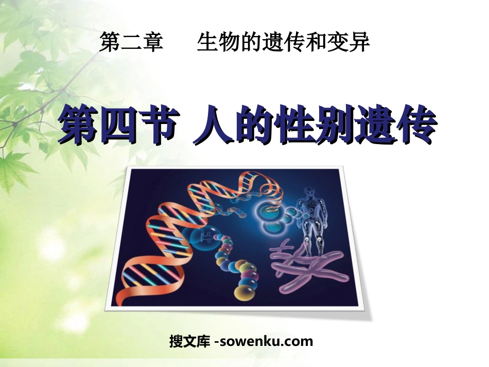 《人的性别遗传》生物的遗传和变异PPT课件2_第1页