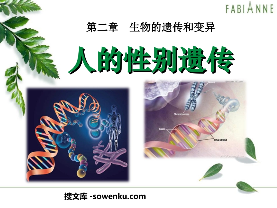 《人的性别遗传》生物的遗传和变异PPT课件4_第1页