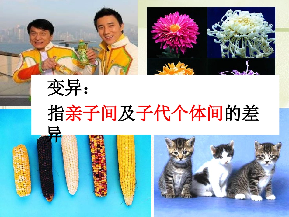 《生物的变异》生物的遗传和变异PPT课件4_第2页