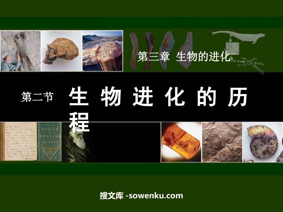 《生物进化的历程》生物的进化PPT课件_第1页