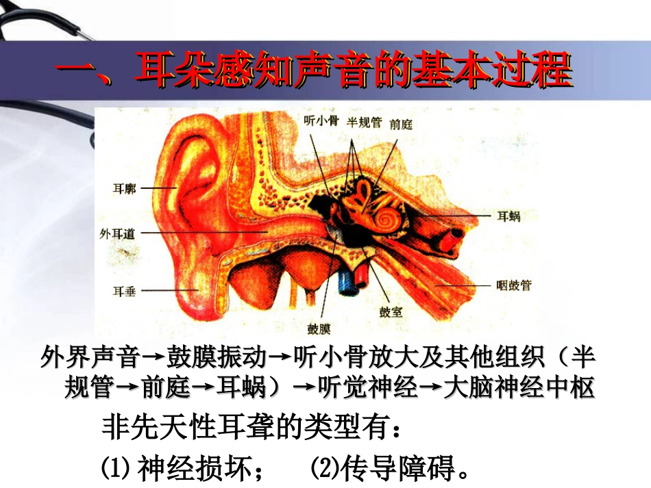 《我们是怎样听到声音的》声音PPT课件2_第2页