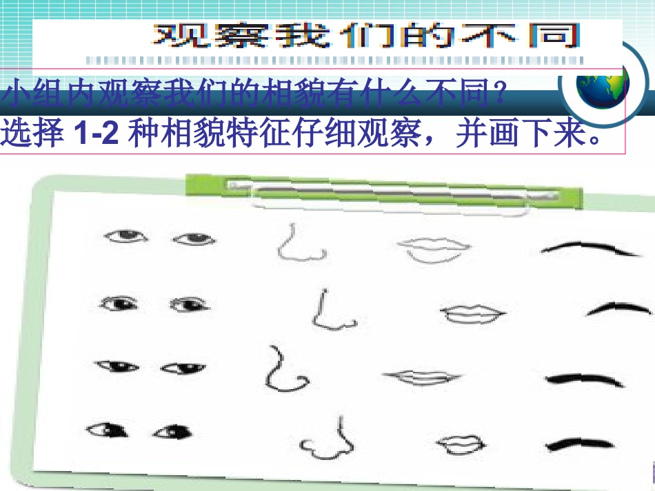 《相貌各异的我们》生物的多样性PPT课件2_第3页