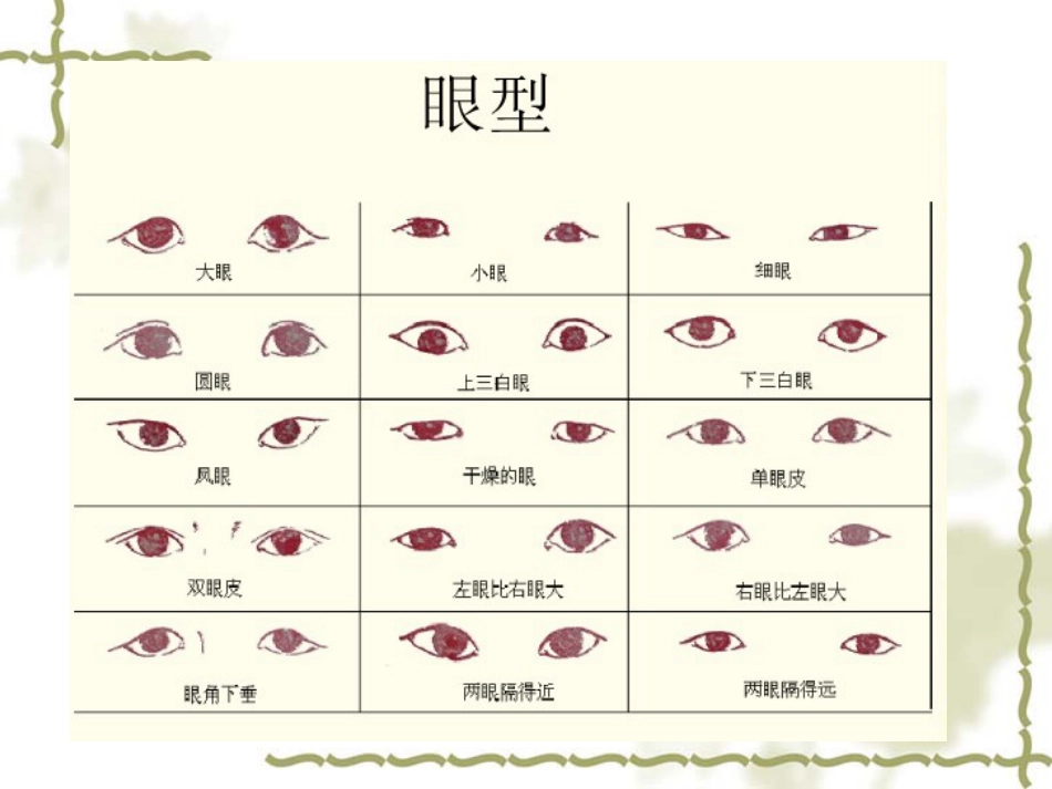 《相貌各异的我们》生物的多样性PPT课件3_第3页