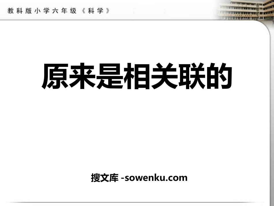 《原来是相关联的》生物的多样性PPT课件2_第1页