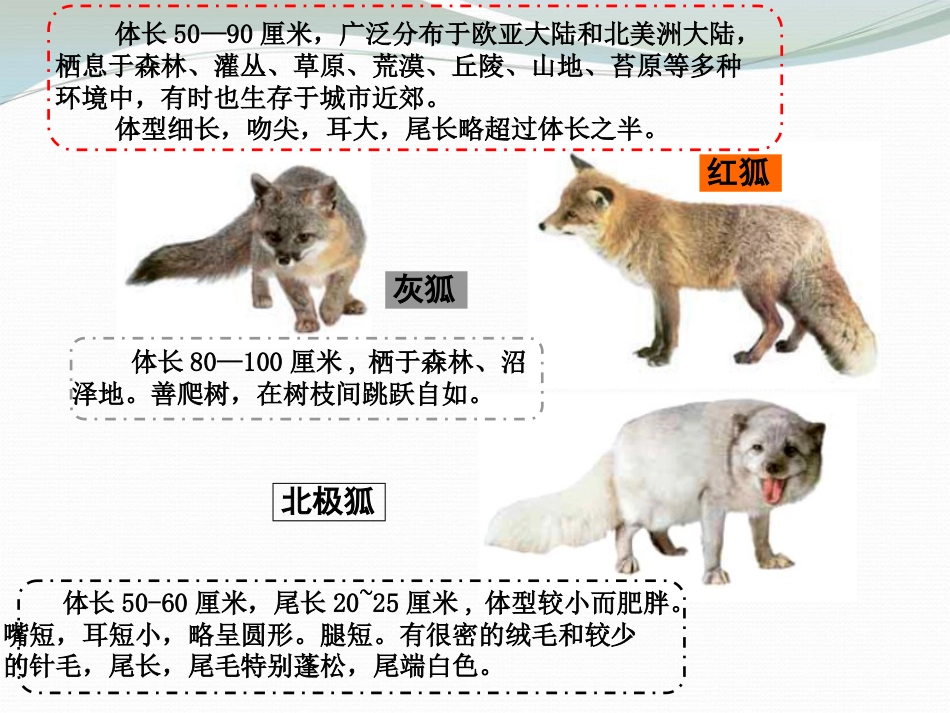 《谁选择了它们》生物的多样性PPT课件_第3页