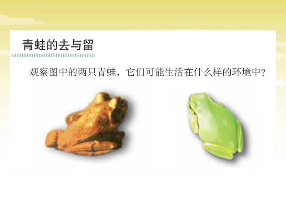 《谁选择了它们》生物的多样性PPT课件2_第2页