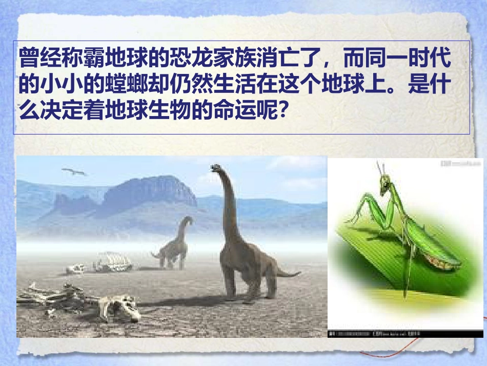 《谁选择了它们》生物的多样性PPT课件4_第2页