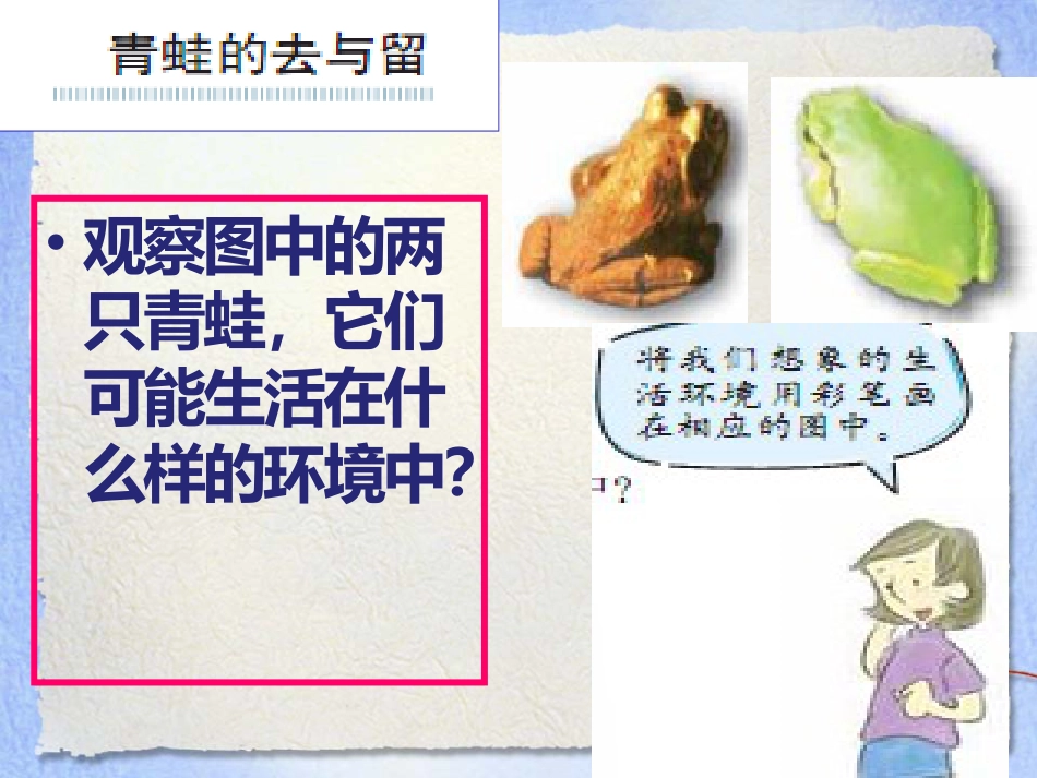 《谁选择了它们》生物的多样性PPT课件4_第3页