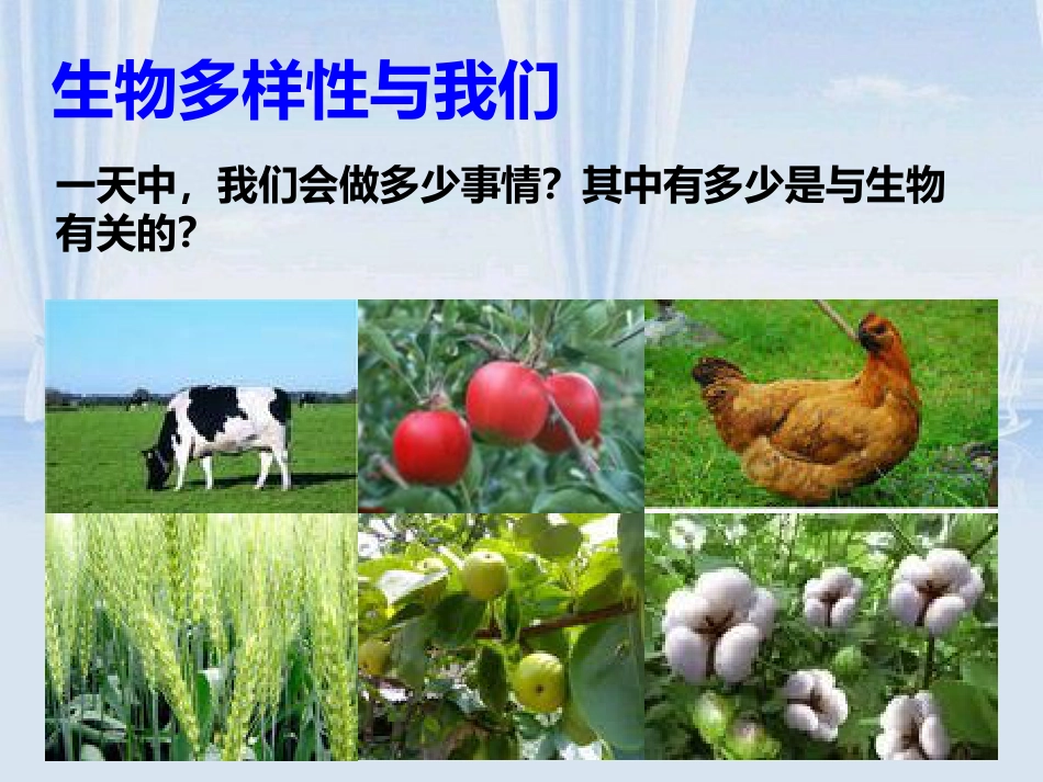 《生物多样性的意义》生物的多样性PPT课件_第3页