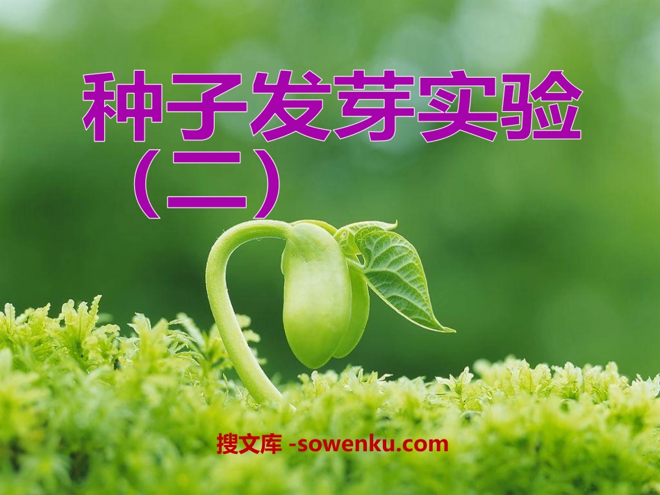 《种子发芽实验(二)》生物与环境PPT课件2_第1页