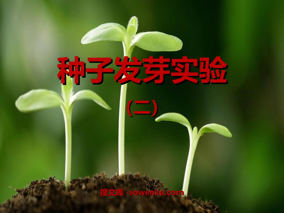 《种子发芽实验(二)》生物与环境PPT课件4_第1页