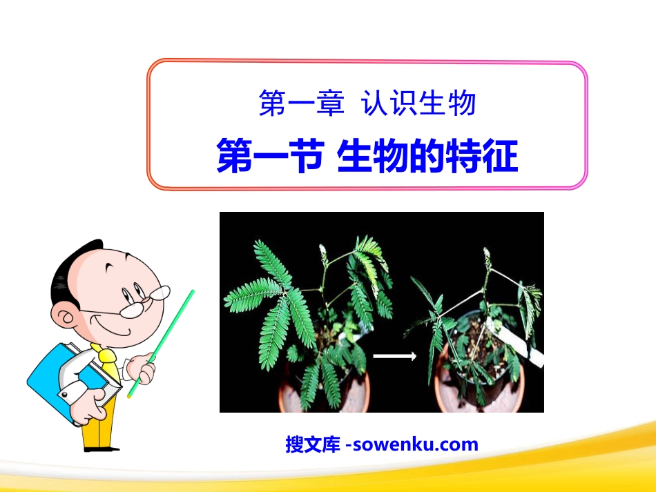 《生物的特征》认识生物PPT课件3_第1页