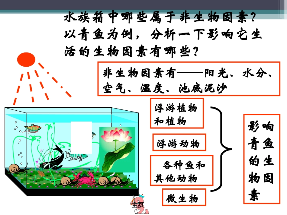 《生物与环境组成生态系统》了解生物圈PPT课件_第2页