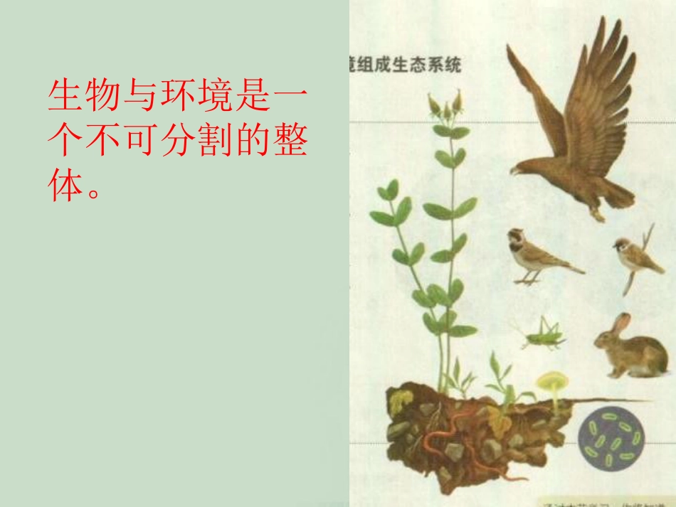 《生物与环境组成生态系统》了解生物圈PPT课件6_第3页