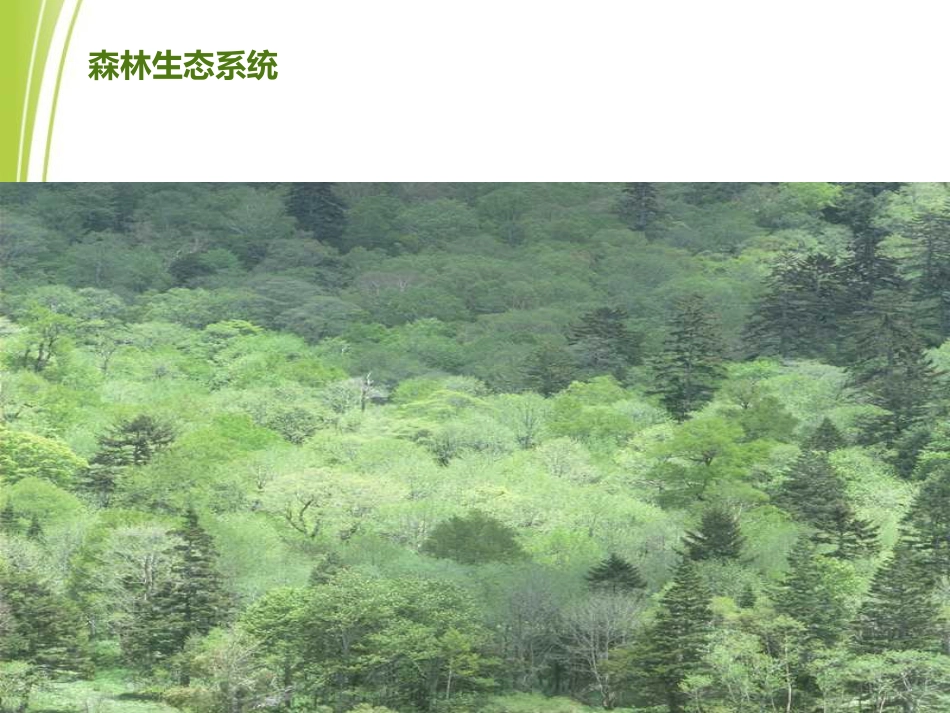 《生物圈是最大的生态系统》了解生物圈PPT课件4_第3页