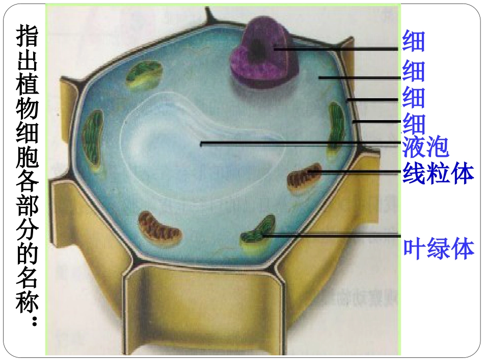 《动物细胞》细胞是生命活动的基本单位PPT课件5_第2页