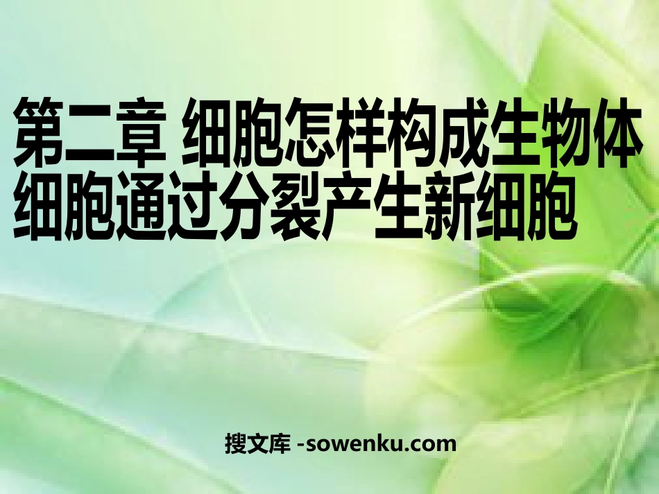 《细胞通过分裂产生新细胞》细胞怎样构成生物体PPT课件_第1页