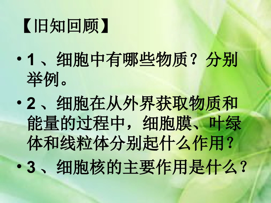 《细胞通过分裂产生新细胞》细胞怎样构成生物体PPT课件_第2页