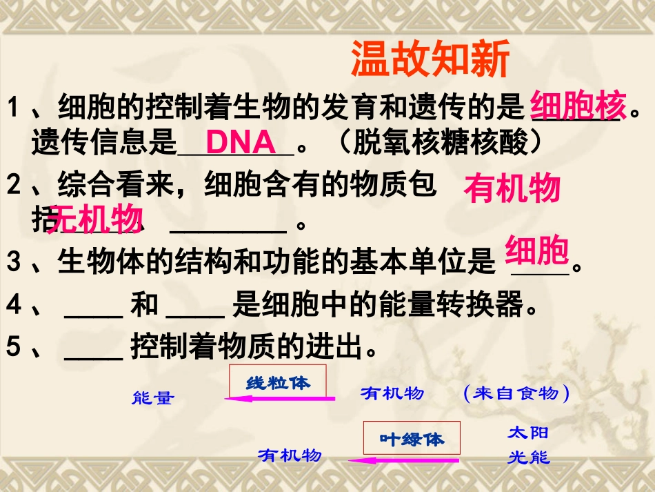 《细胞通过分裂产生新细胞》细胞怎样构成生物体PPT课件2_第2页