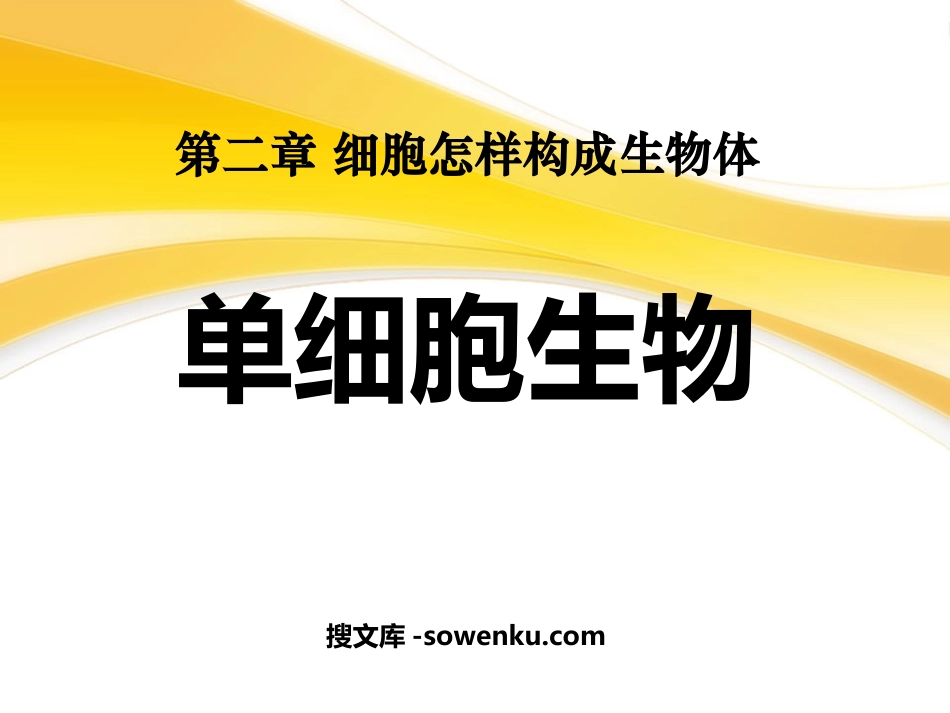 《单细胞生物》细胞怎样构成生物体PPT课件5_第1页