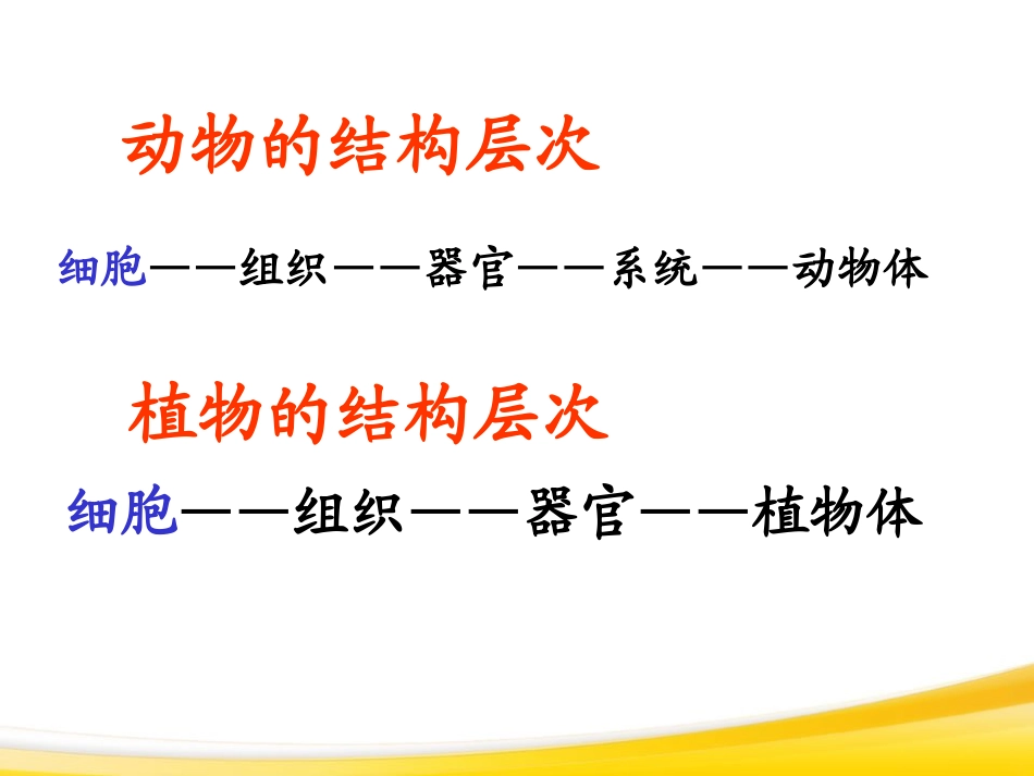 《单细胞生物》细胞怎样构成生物体PPT课件5_第2页