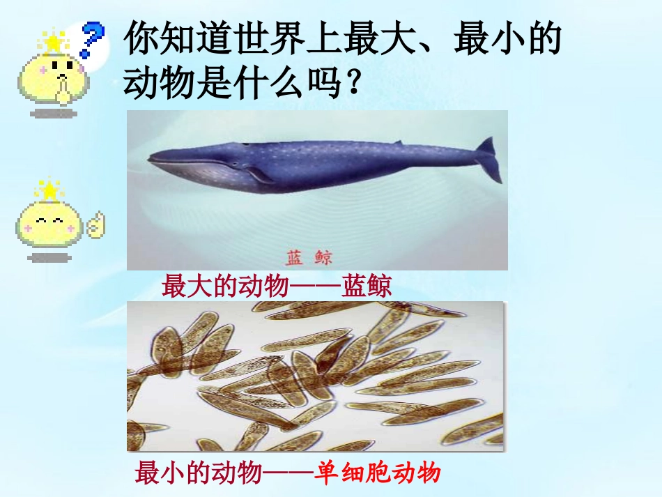 《单细胞生物》细胞怎样构成生物体PPT课件8_第2页