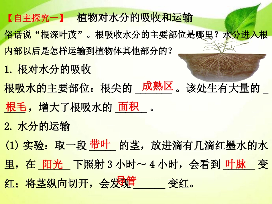 《绿色植物与生物圈的水循环》PPT课件3_第2页