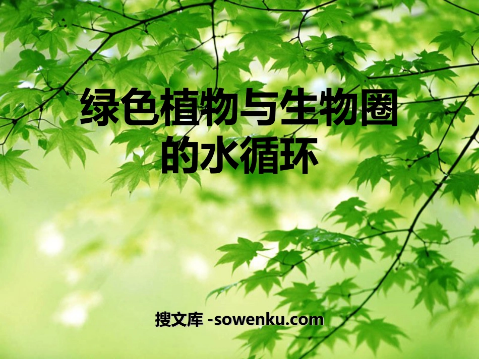 《绿色植物与生物圈的水循环》PPT课件4_第1页